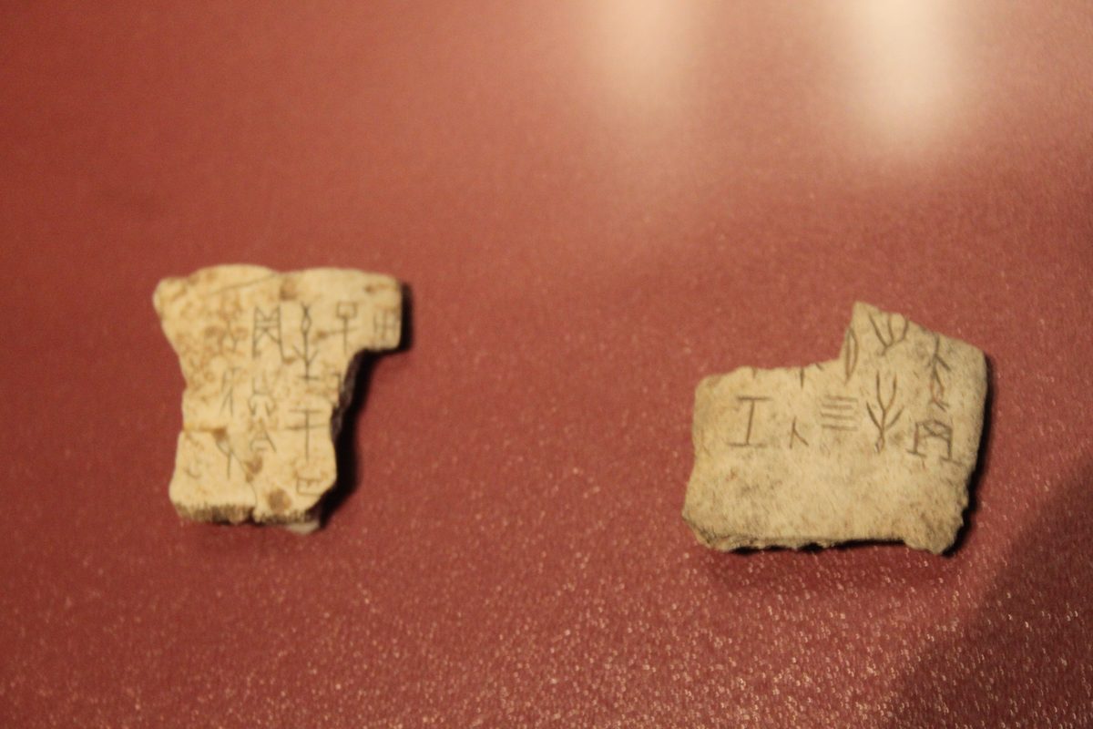 Shang oracle bones (ox scapulae), Yinxu, China