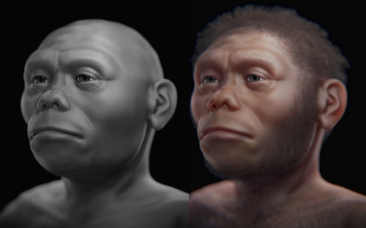 Homo floresiensis : l'Hobbit de Flores, le plus petit humain connu