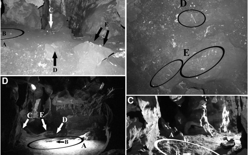 Homo naledi : l'Homme des etoiles qui reecrit nos origines