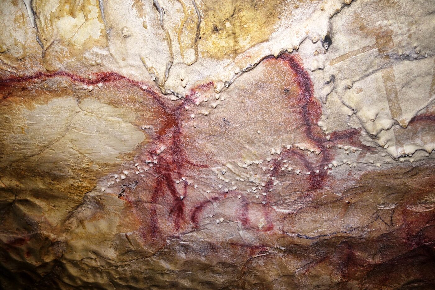 Red parietal painting depicting a mammoth in the Great Cave of Arcy-sur-Cure