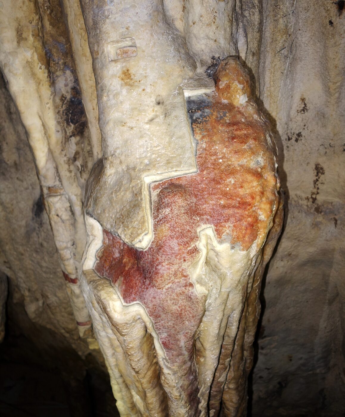 Palaeolithic painting partly covered by a film of calcite at Arcy-sur-Cure