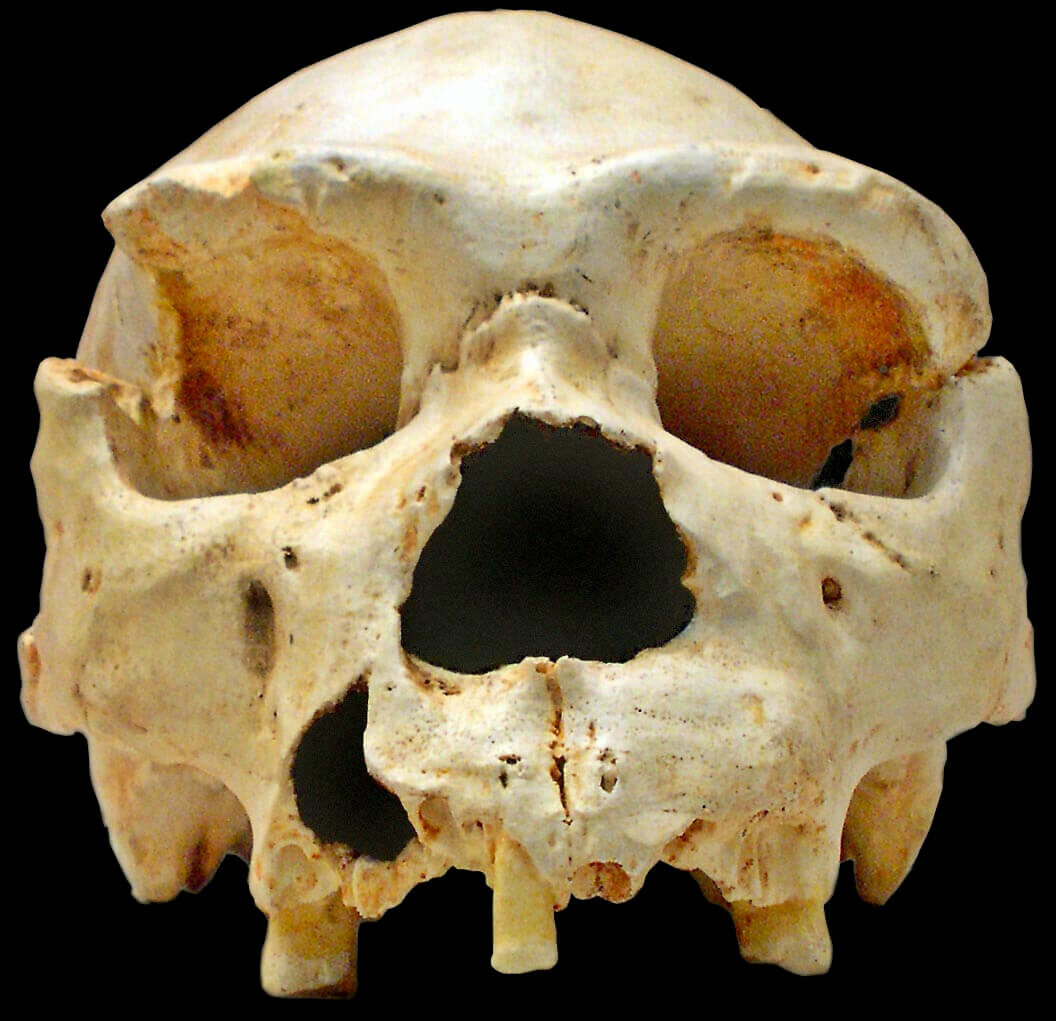 Archéologues fouillant un niveau sédimentaire sur le site d'Atapuerca