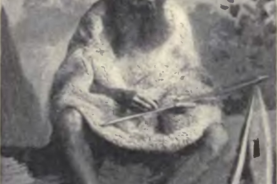 Kurnai man, 19th-century illustration - public domain