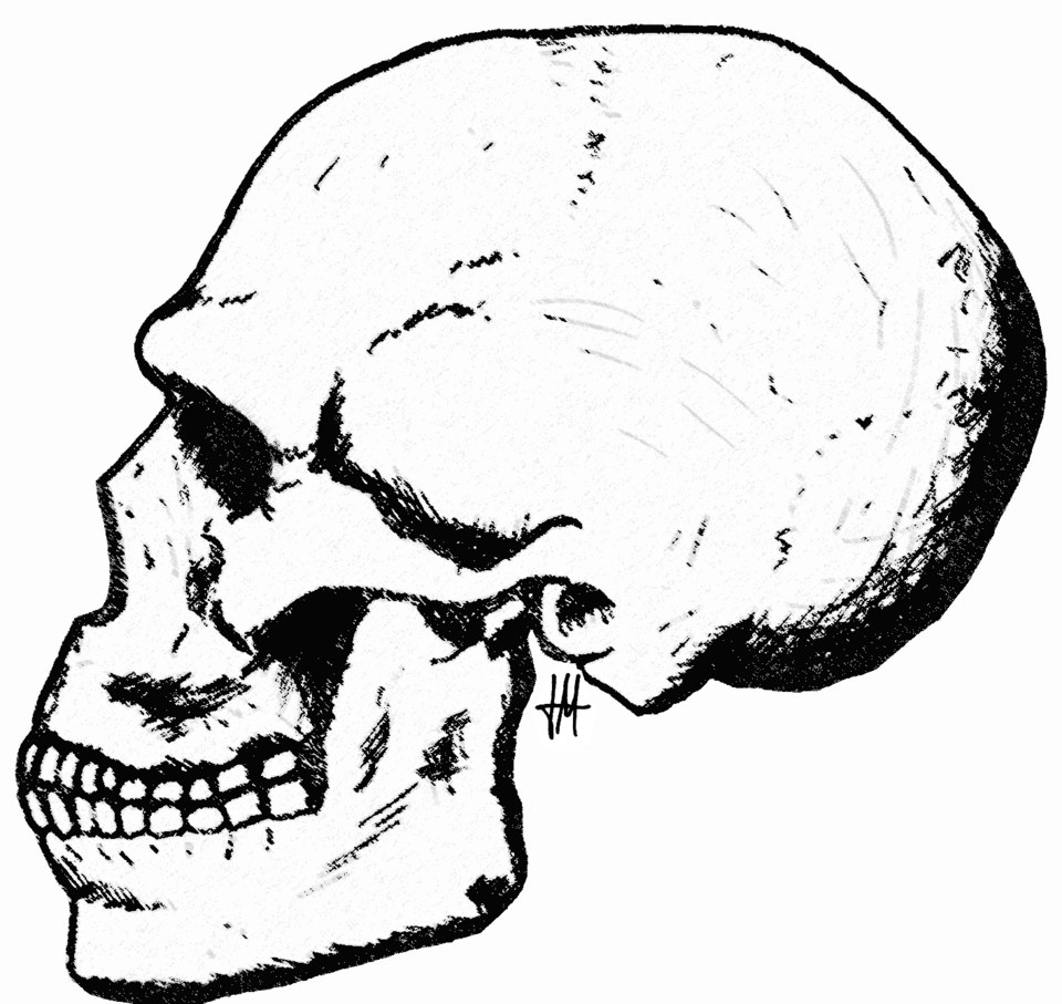 Skull of Skhul 5, one of the archaic Homo sapiens of Mount Carmel