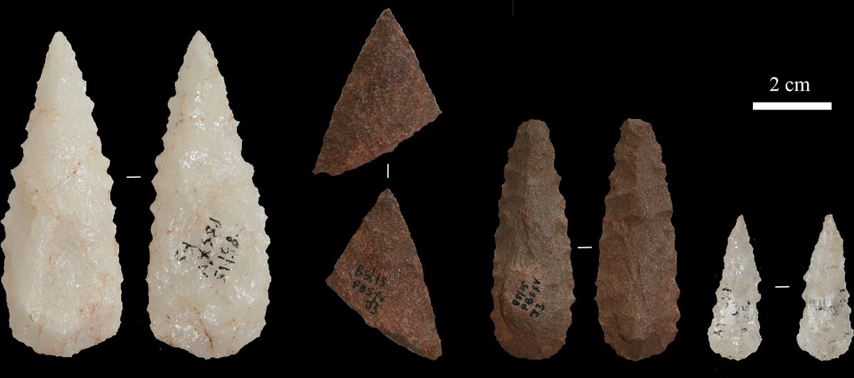Quartz microliths from Umhlatuzana, KwaZulu-Natal - CC BY 4.0