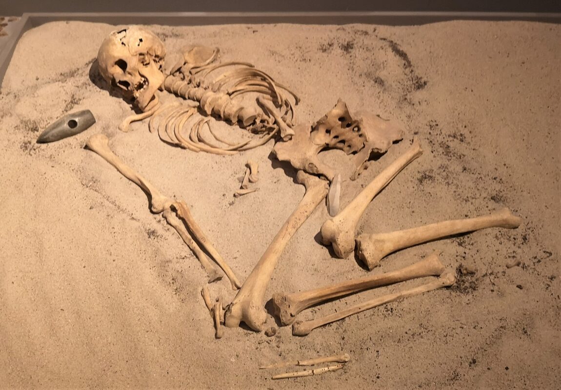 Sépulture d'un homme de la culture de la céramique cordée, vers 3000-2200 av. J.-C., à Kietrz (Pologne)