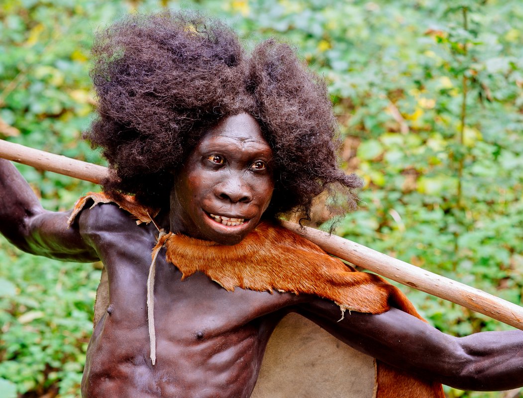 Reconstruction de Homo erectus, Turkana Boy, musee de Neanderthal
