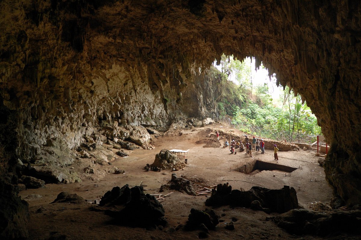 Entrée ou environs du site de Liang Bua, Flores, paysage volcanique indonésien