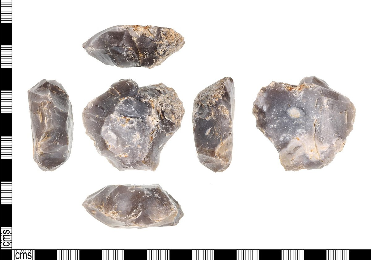 Levallois flint core illustrating the predetermined debitage technique, Middle Palaeolithic