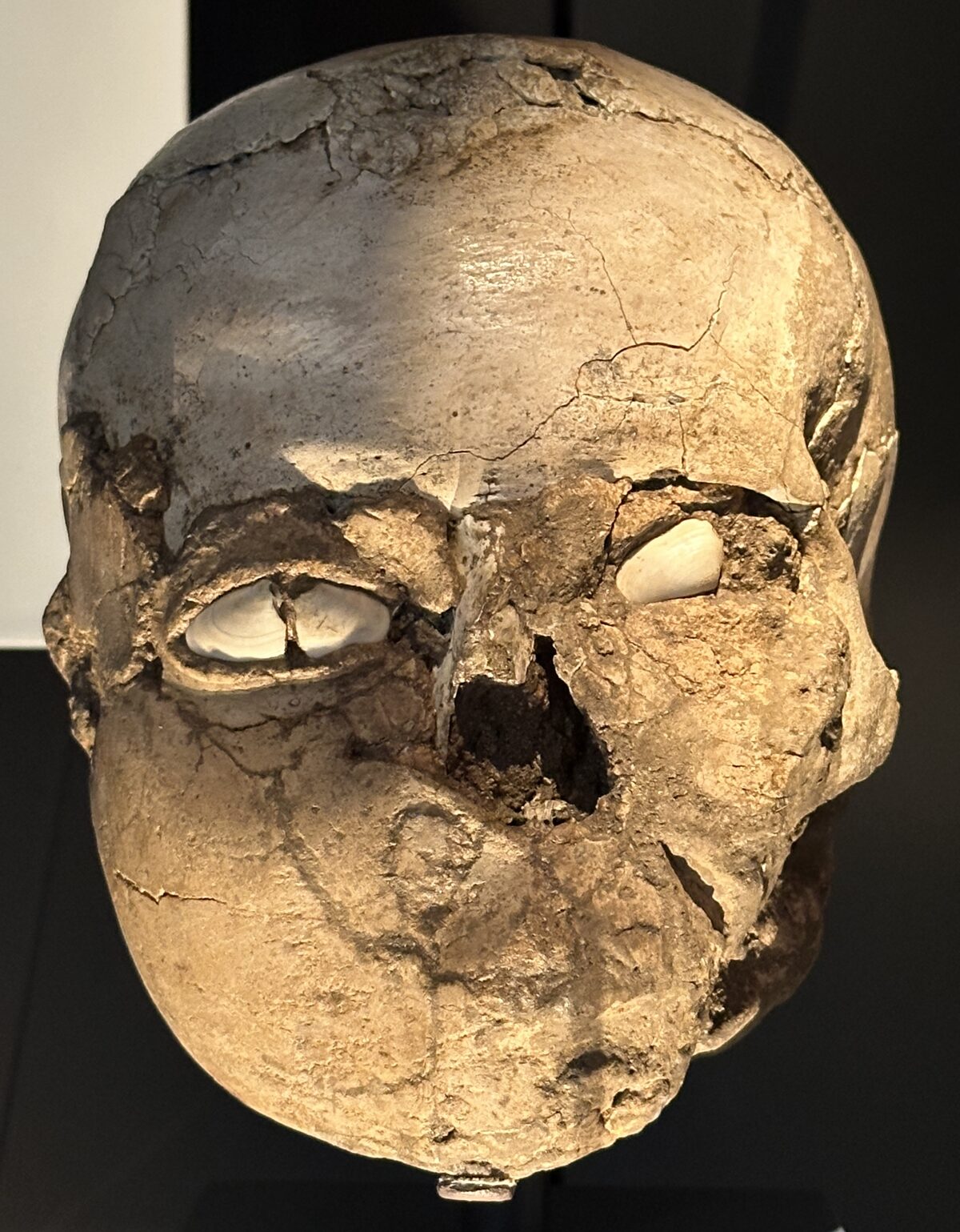 Crâne humain surmodelé au plâtre découvert à Jéricho, conservé au British Museum
