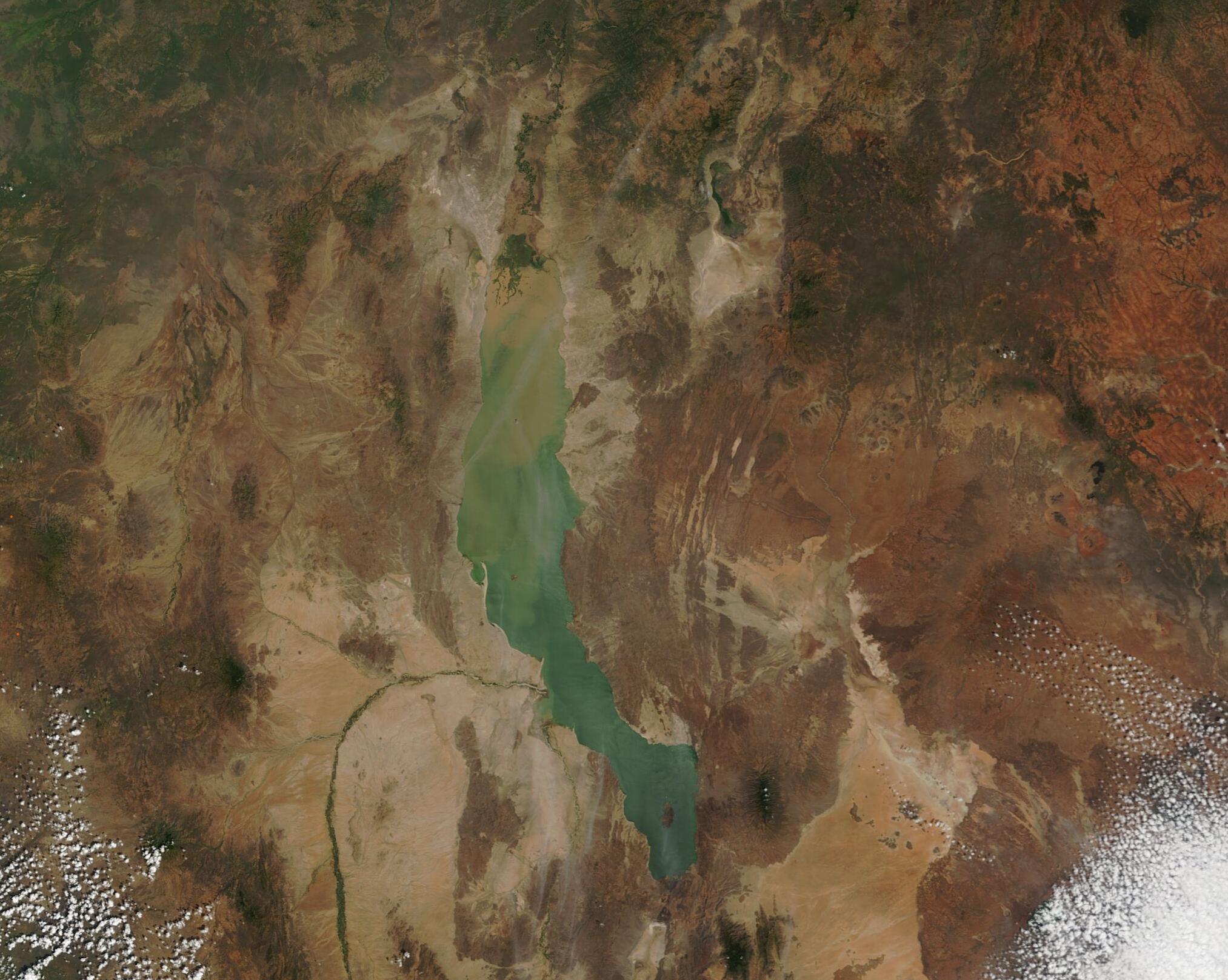 Outils lomekwiens de 3,3 millions d'annees, lac Turkana