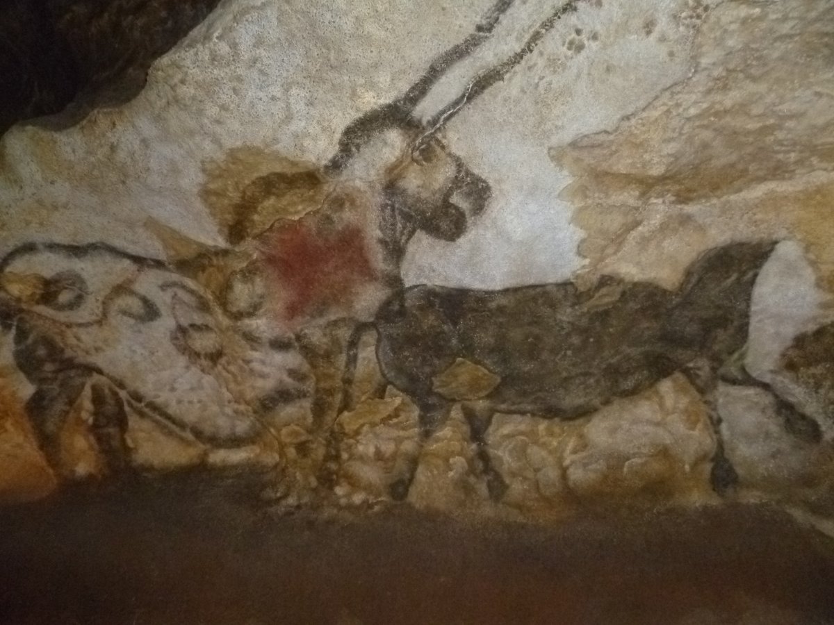 Peintures de Lascaux, salle des taureaux, replica