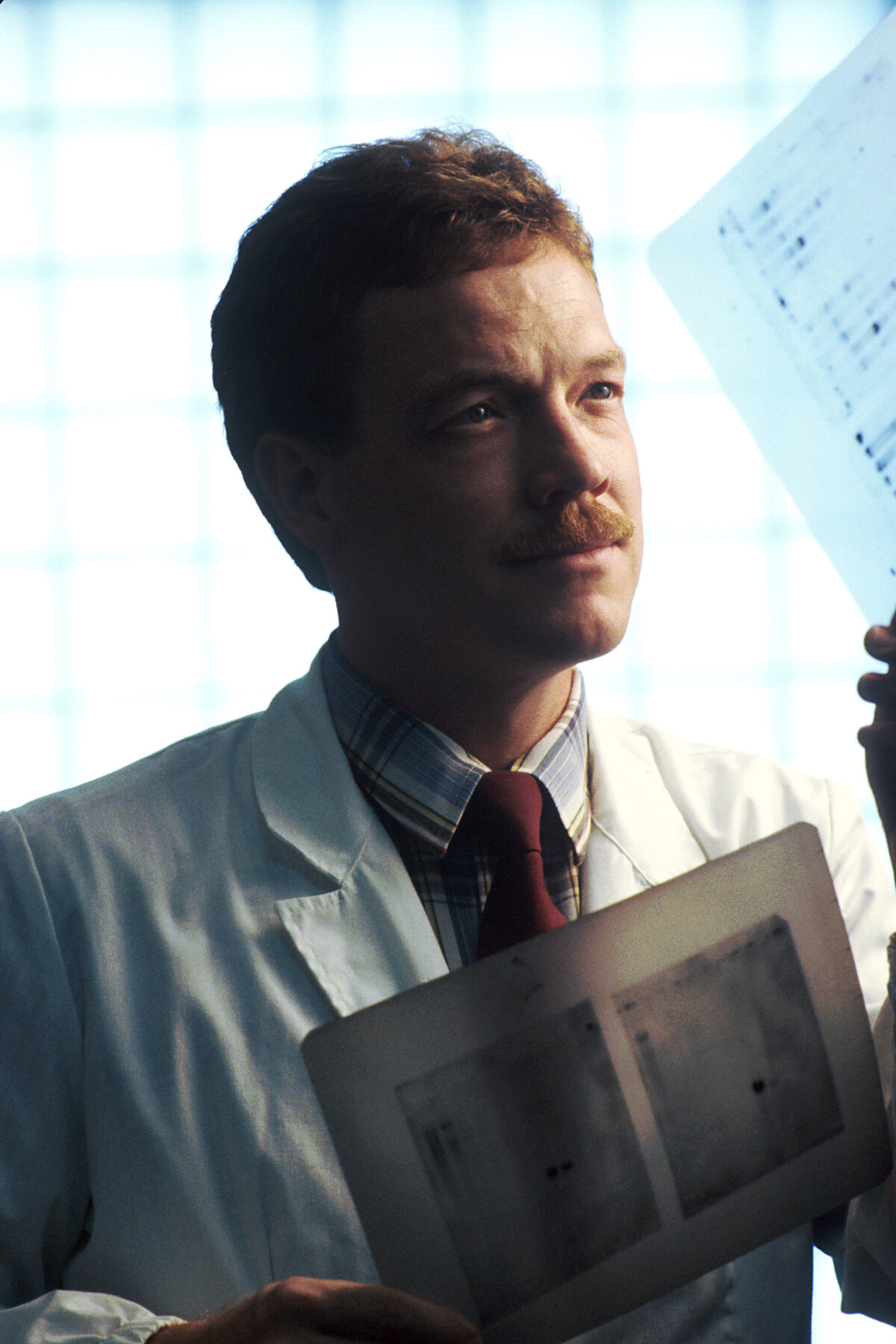 DNA sequencing gels aligned in a laboratory