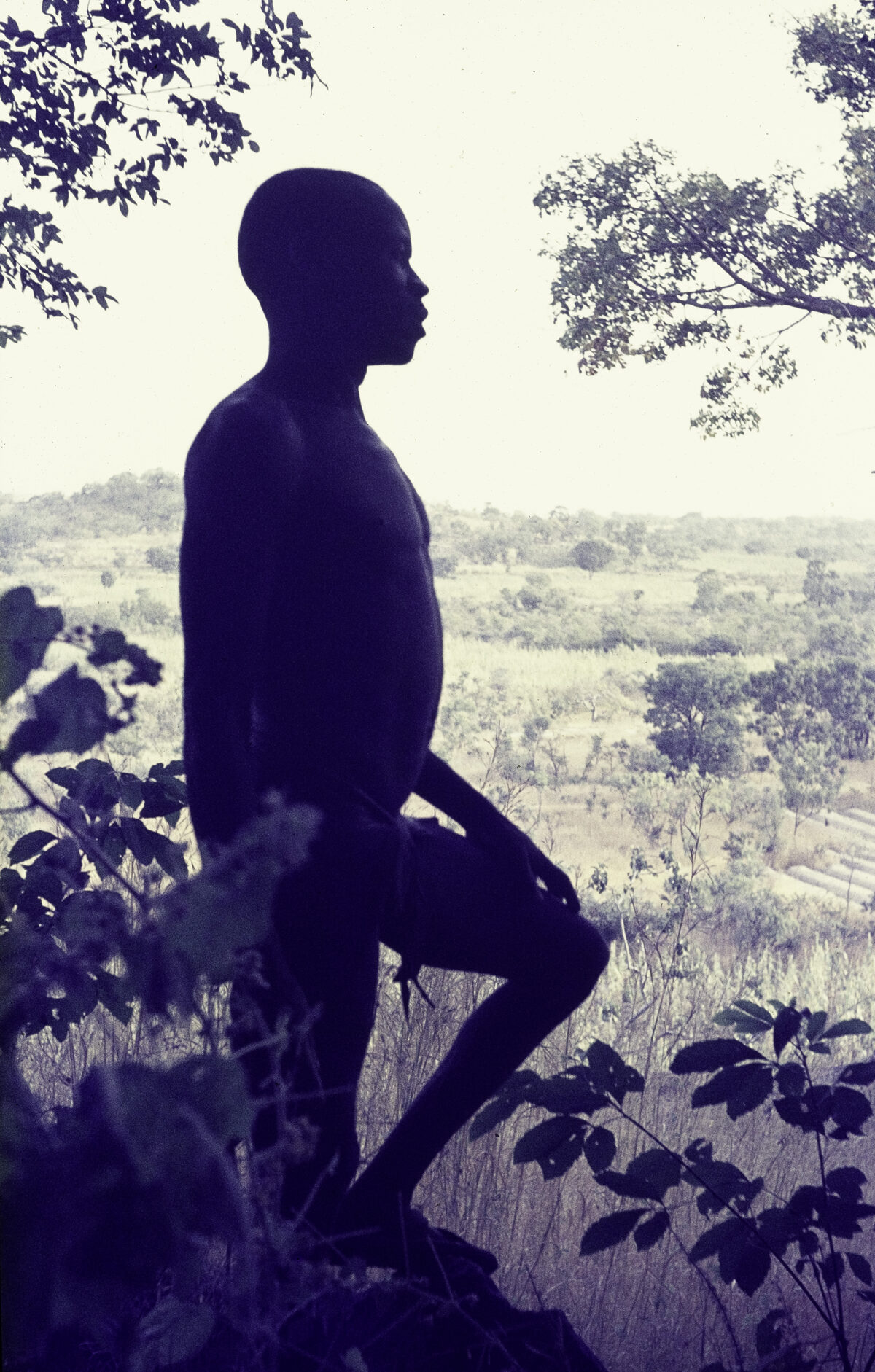 Savanna landscape in Bauchi State, Nigeria, silhouette of a man in the foreground