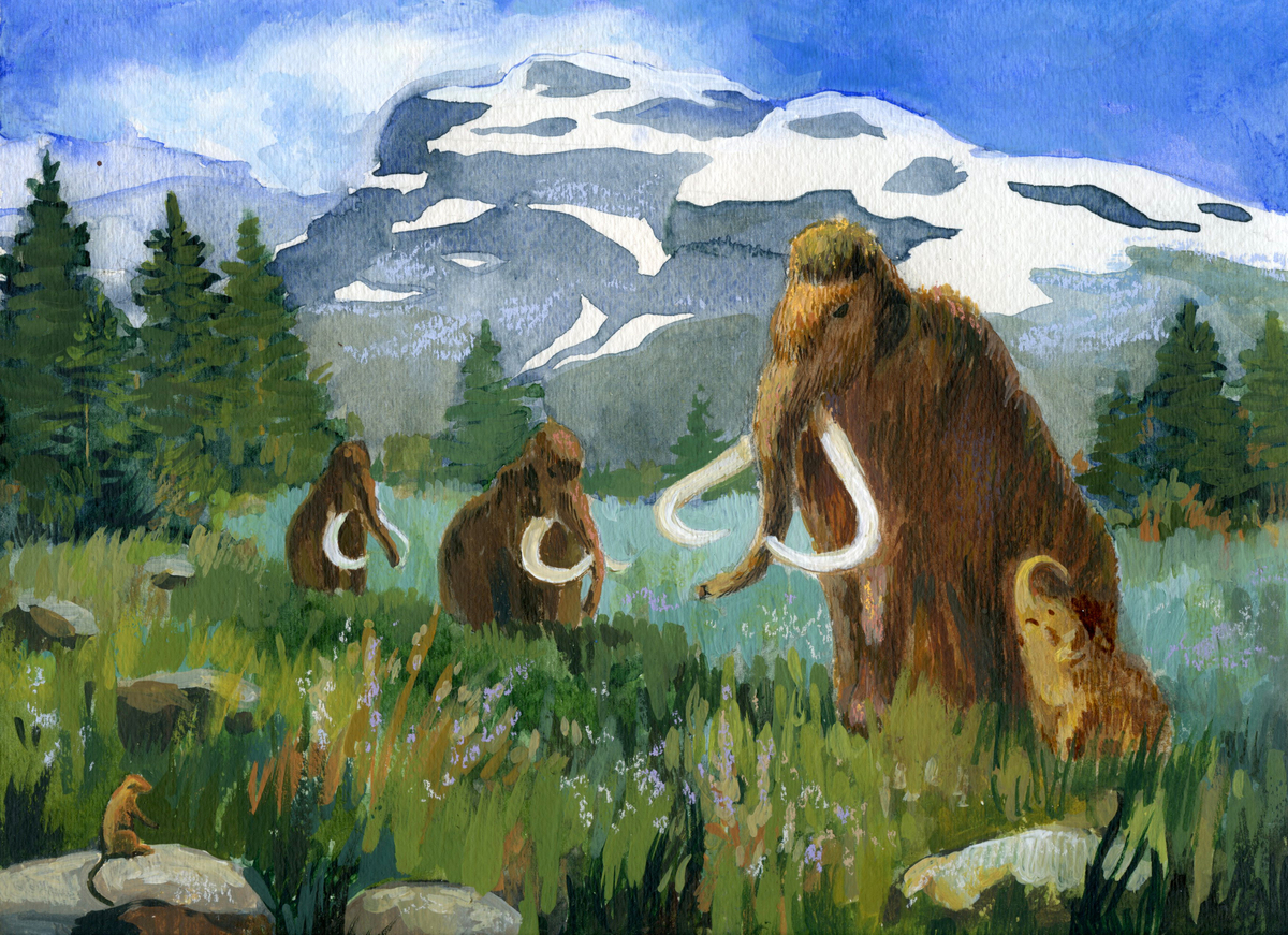 Reconstitution artistique d'un troupeau de mammouths laineux dans un paysage glaciaire