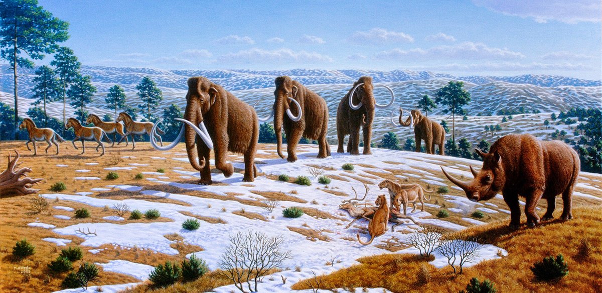 Reconstruction of Pleistocene megafauna of the Iberian Peninsula by Mauricio Antón