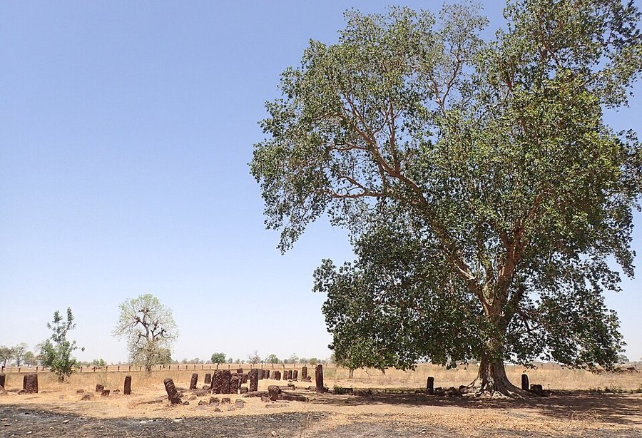 Cercle de pierres dressees, site de Sine Ngayene