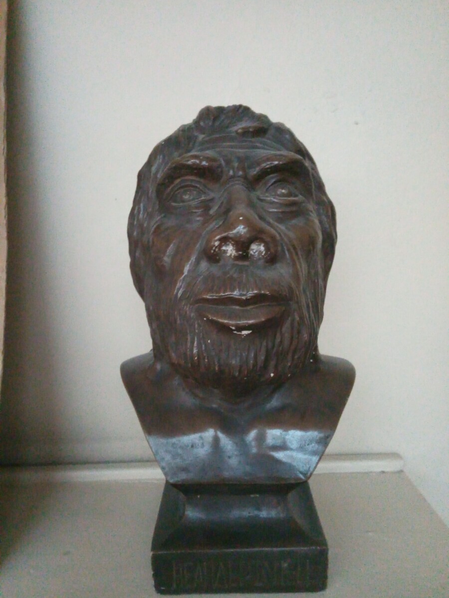 Reconstruction d'un Neandertalien adulte