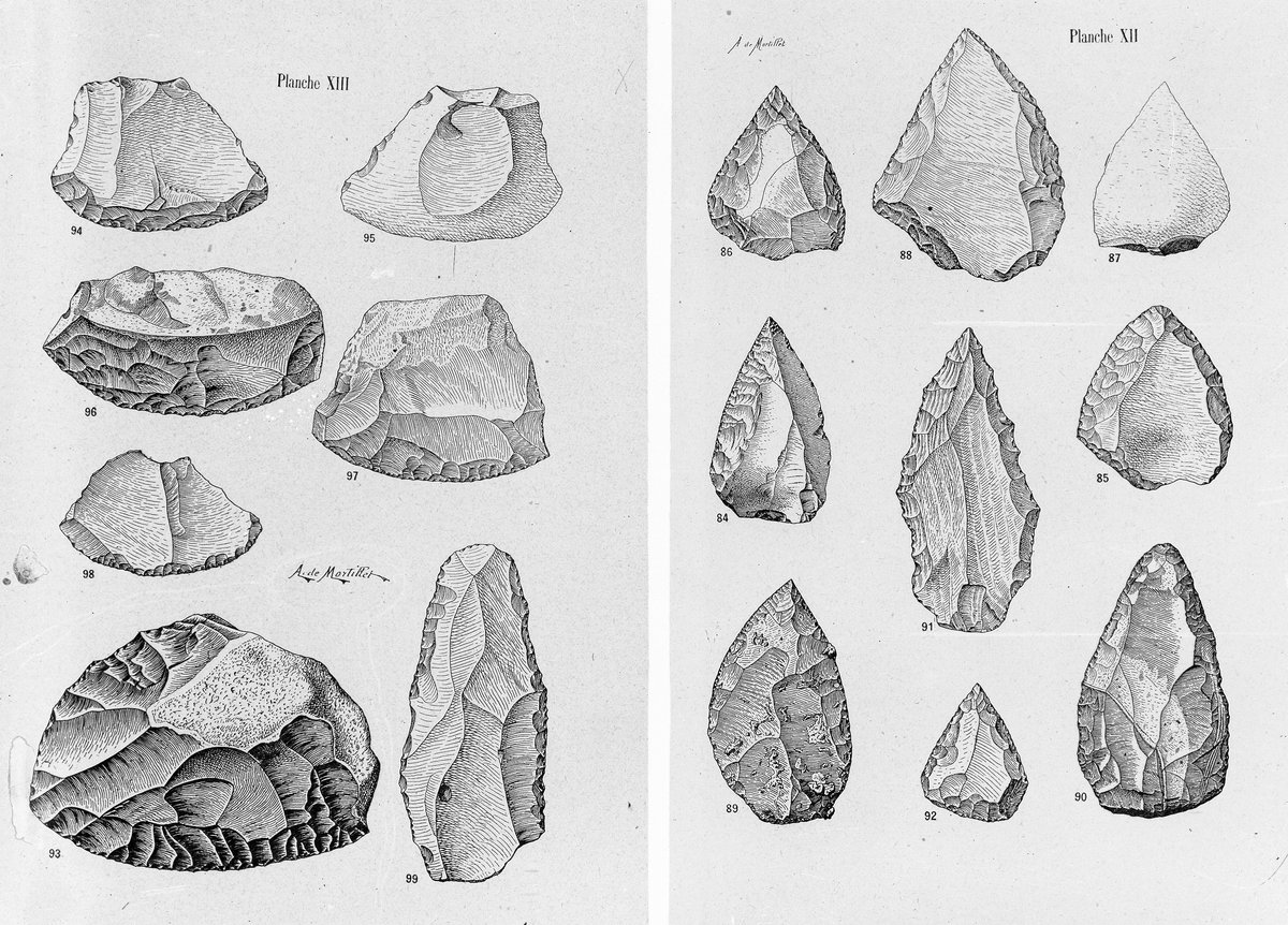 Illustration of Mousterian Middle Paleolithic stone tools attributed to Neanderthals, Levallois technique