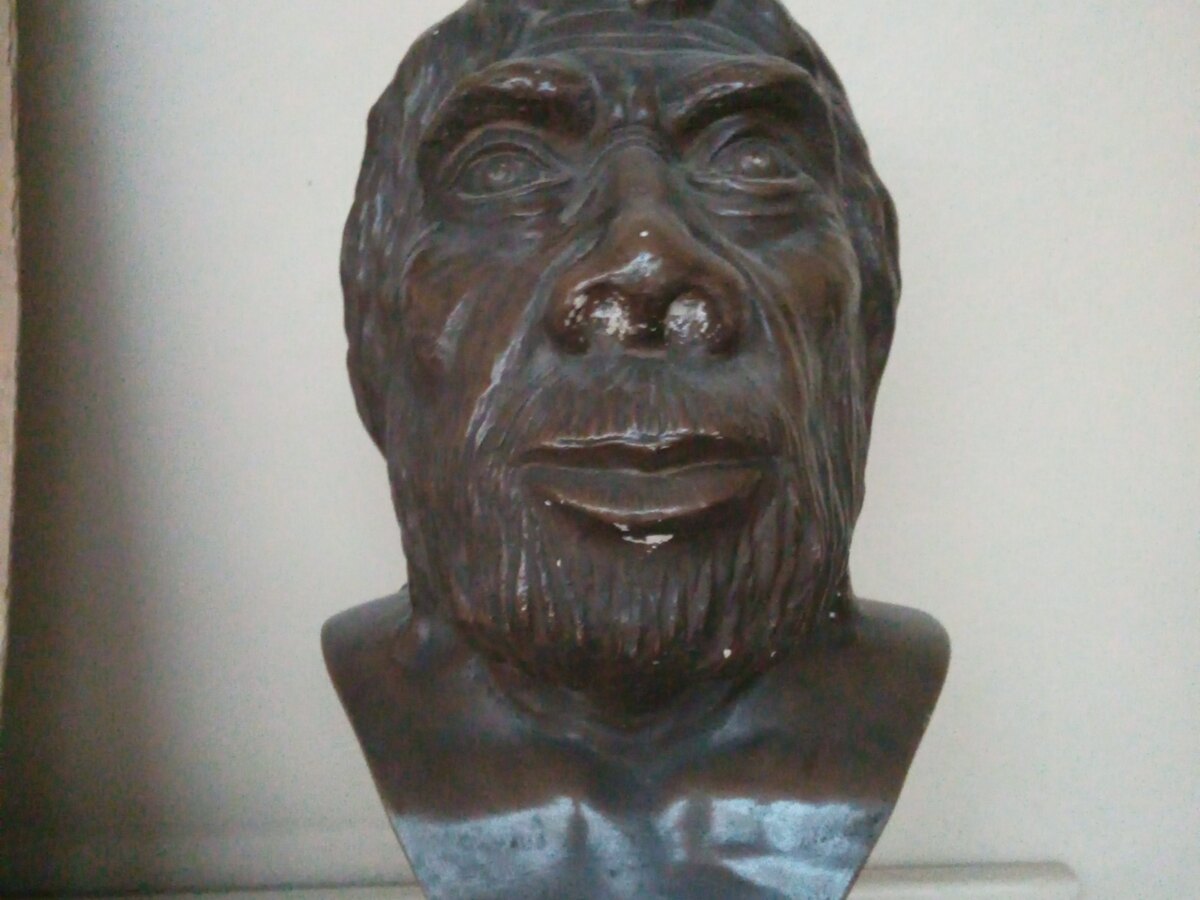Reconstruction of a Neanderthal Man