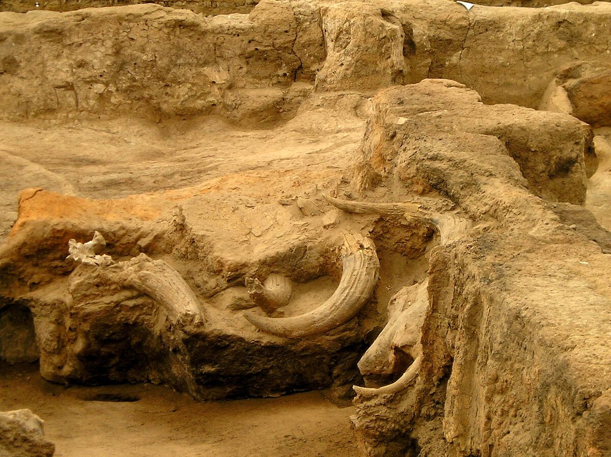 Vue du site archéologique de Çatalhöyük en Anatolie, tertre néolithique fouillé