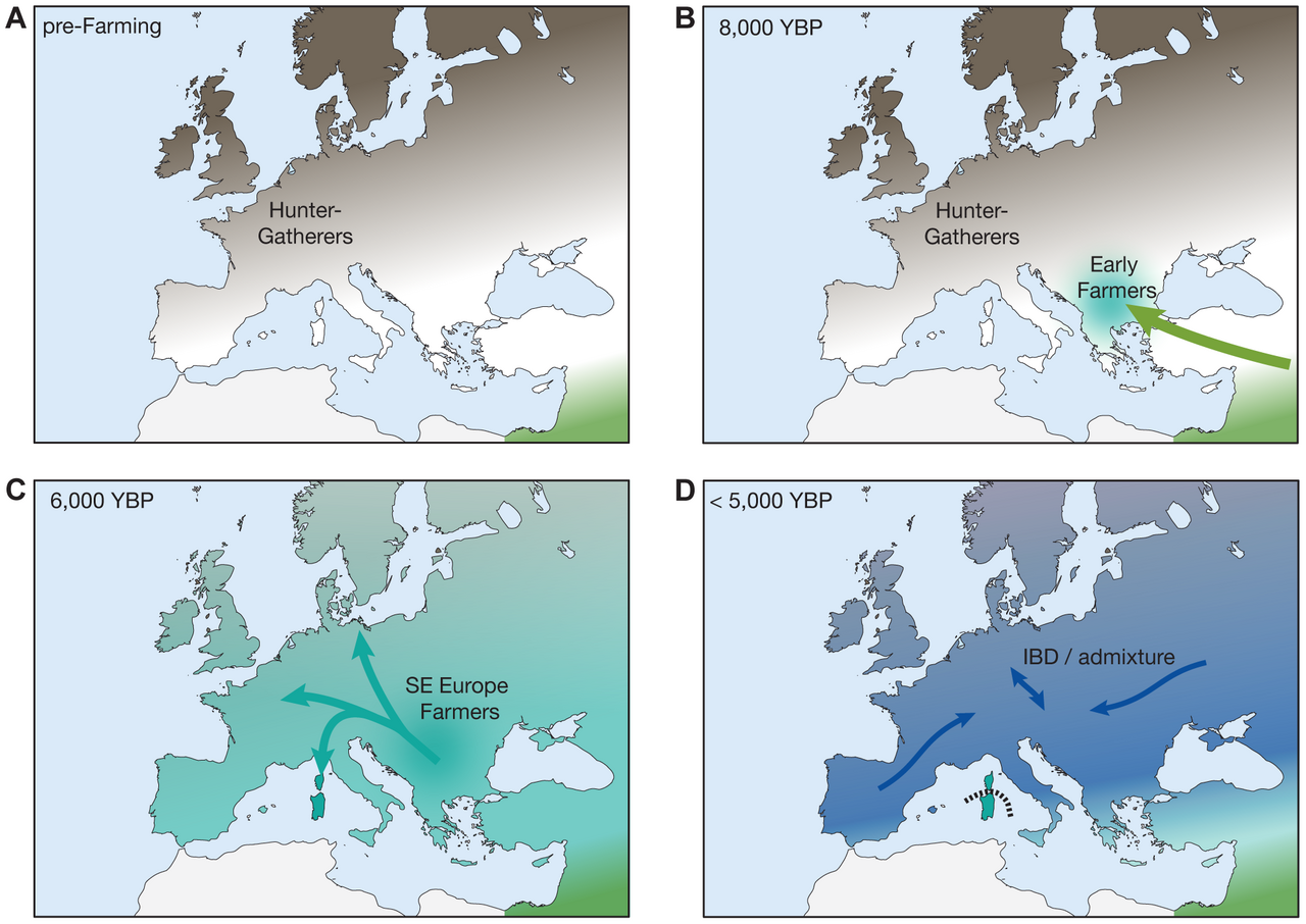 Map of Neolithic spread from Anatolia into Europe