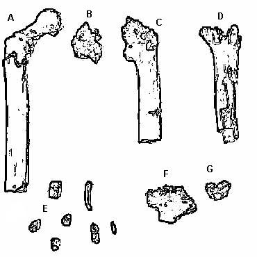 Orrorin tugenensis fossil sites Tugen Hills Kenya map