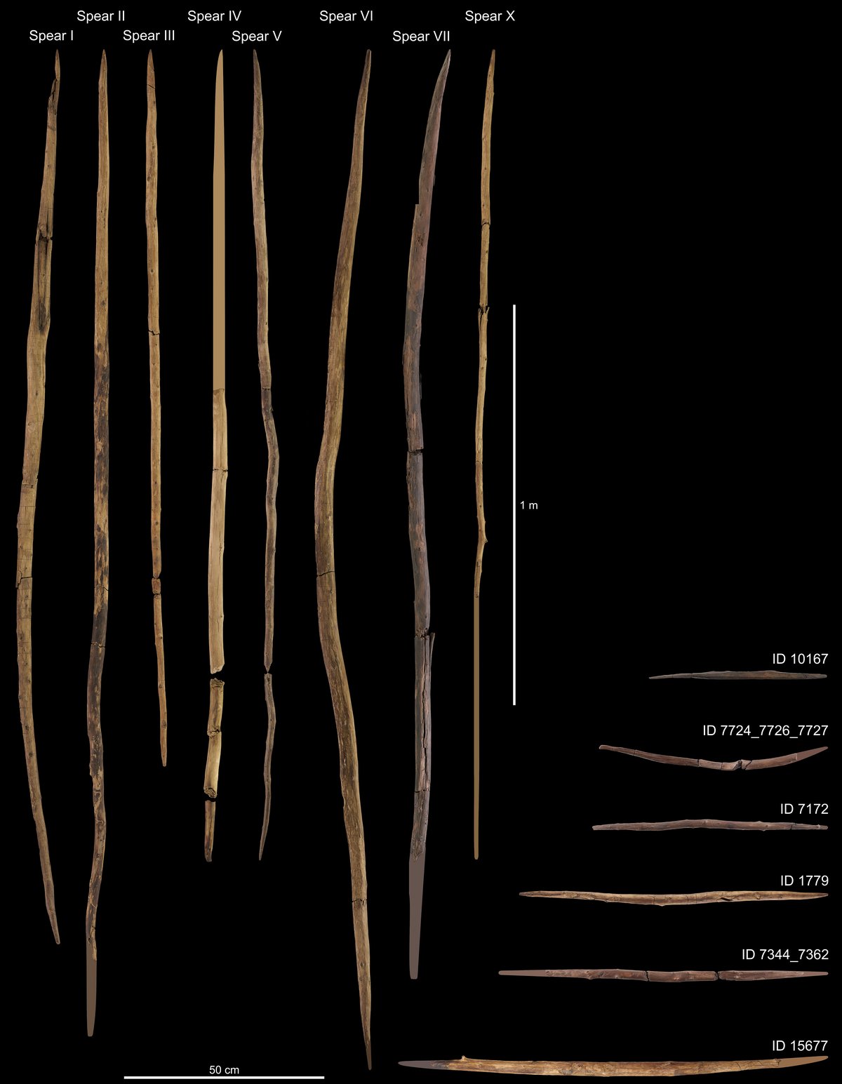 Artefacts en bois de Schöningen, Paléolithique inférieur, Basse-Saxe, Allemagne