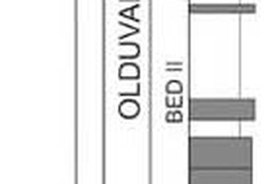 Stratigraphie généralisée de la gorge d'Olduvai