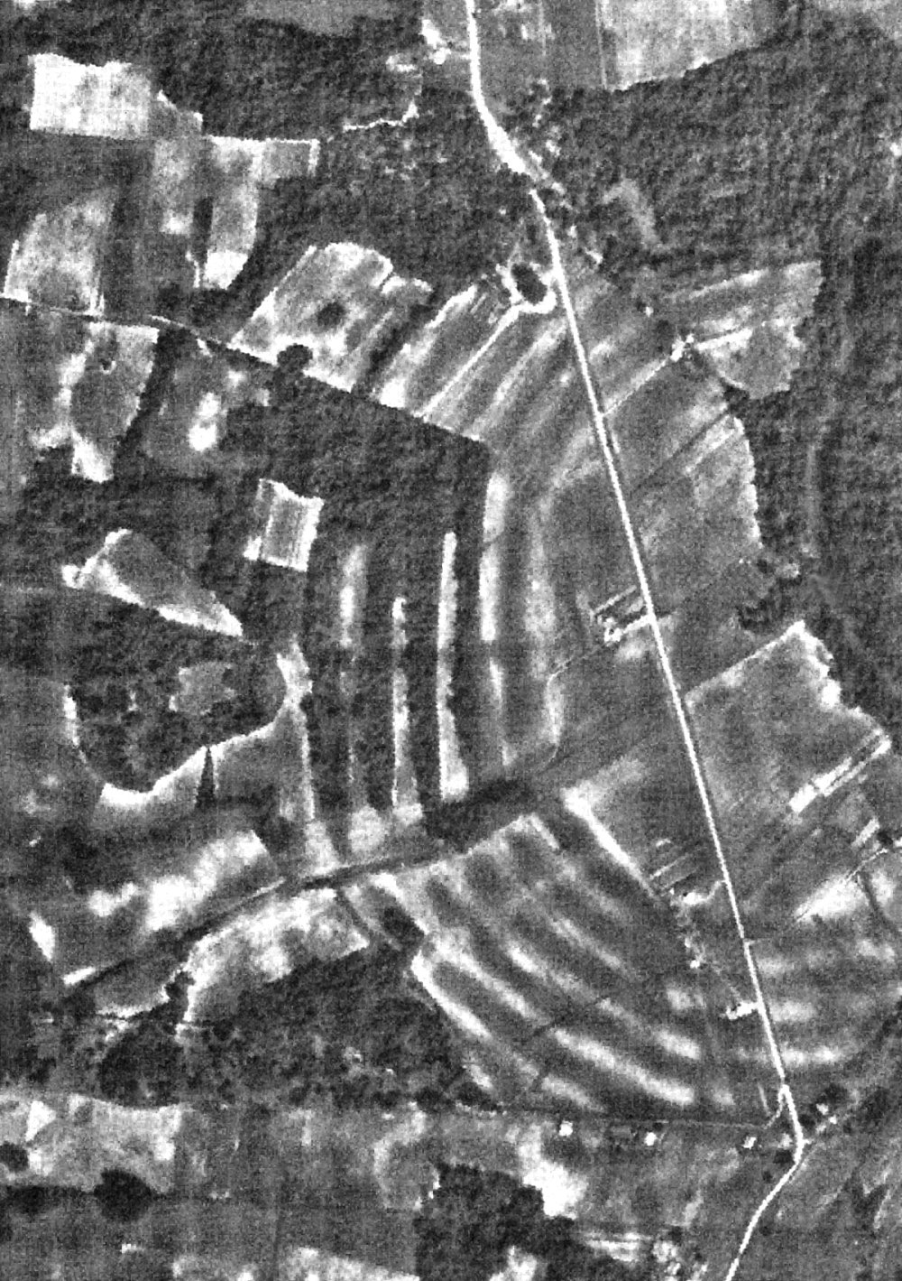 1938 aerial photograph of Poverty Point by the U.S. Army Corps of Engineers