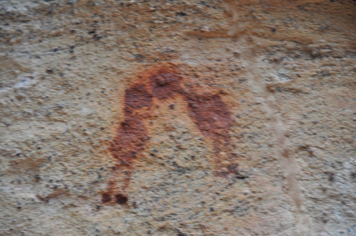 Peintures rupestres de la Serra da Capivara, Piaui, Bresil - scene de chasse prehistorique