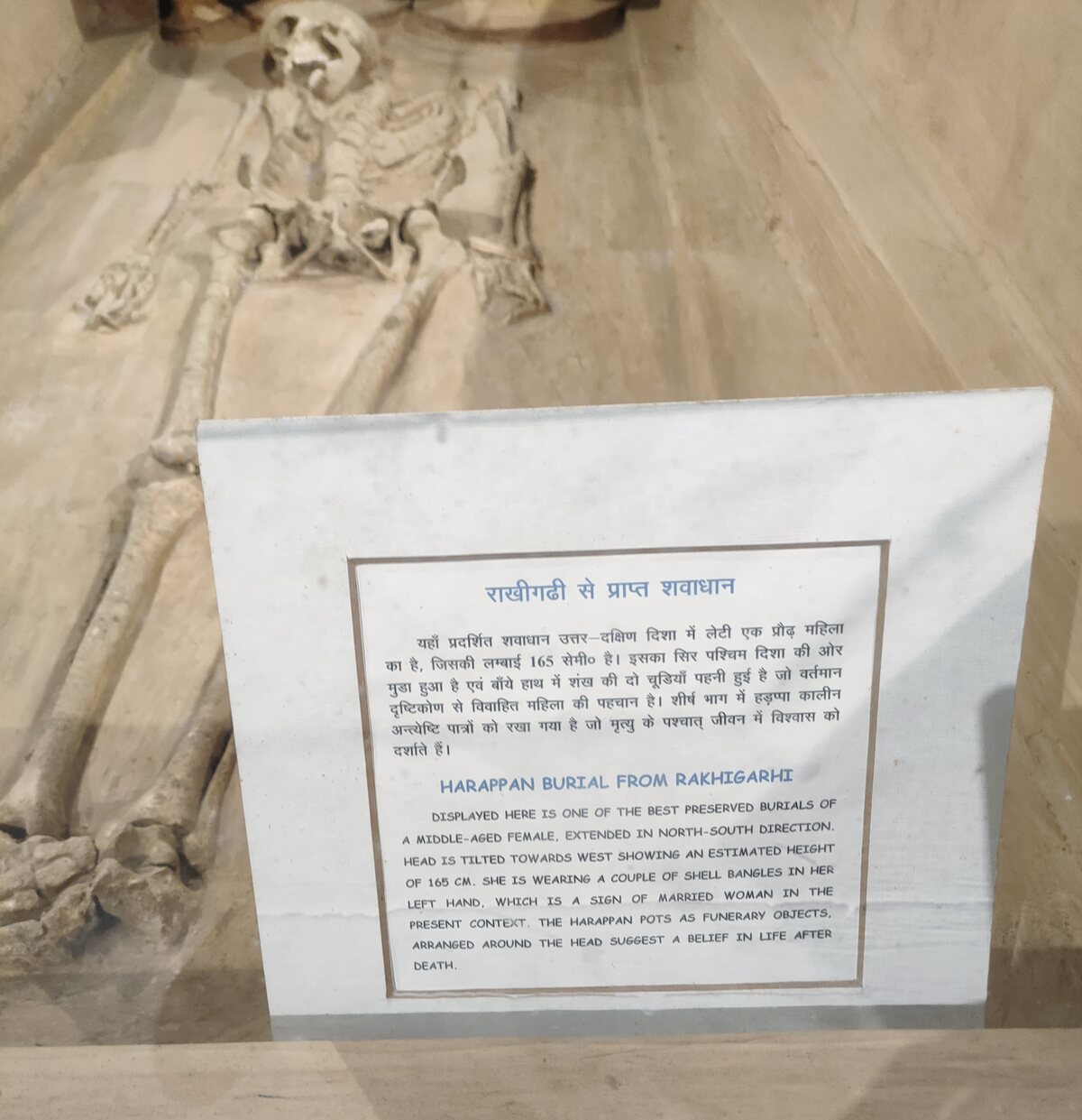 Skeleton of a Harappan woman unearthed at Rakhigarhi