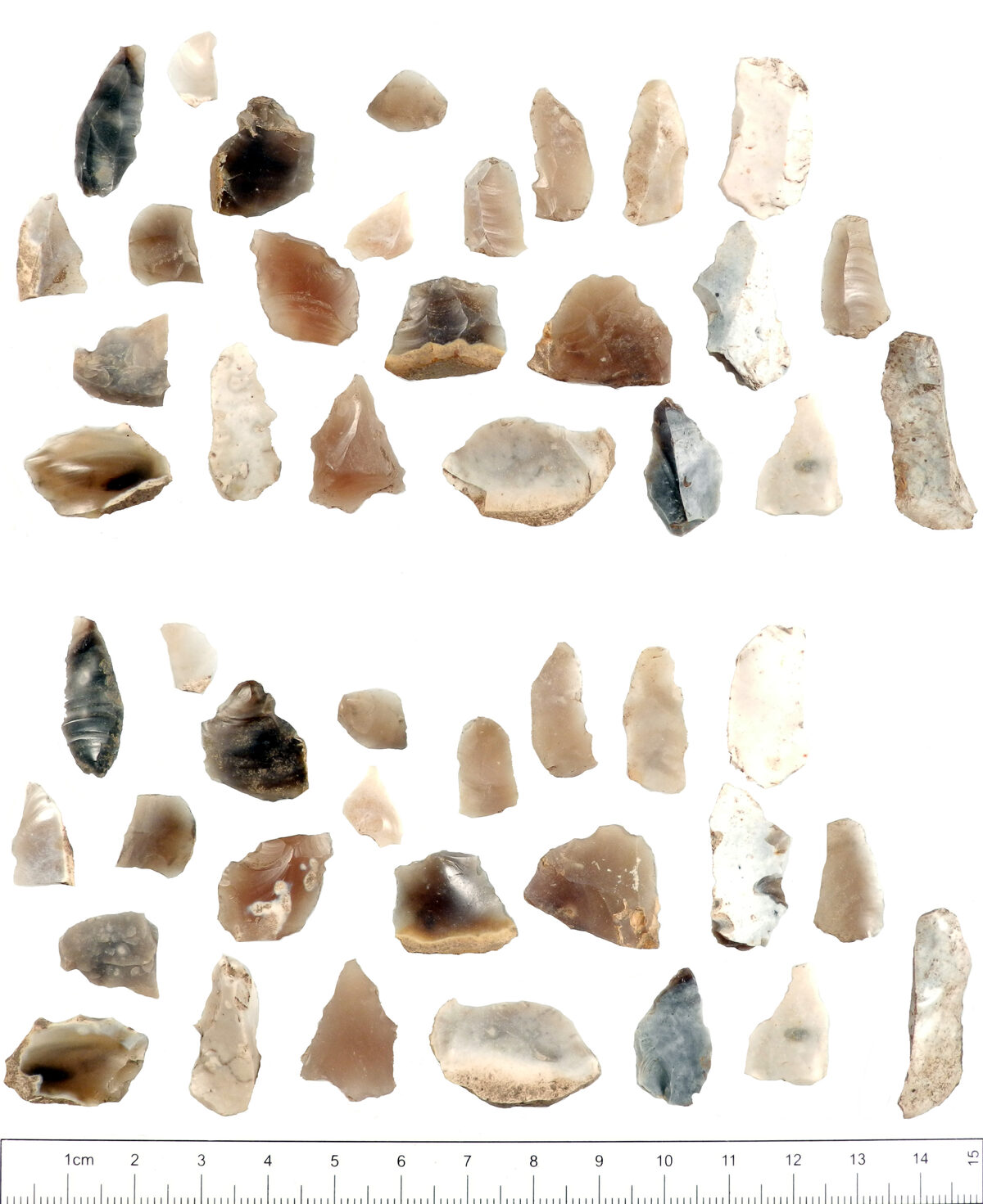 Series of Mesolithic flint microliths, small geometric armatures arranged on a neutral background with a scale