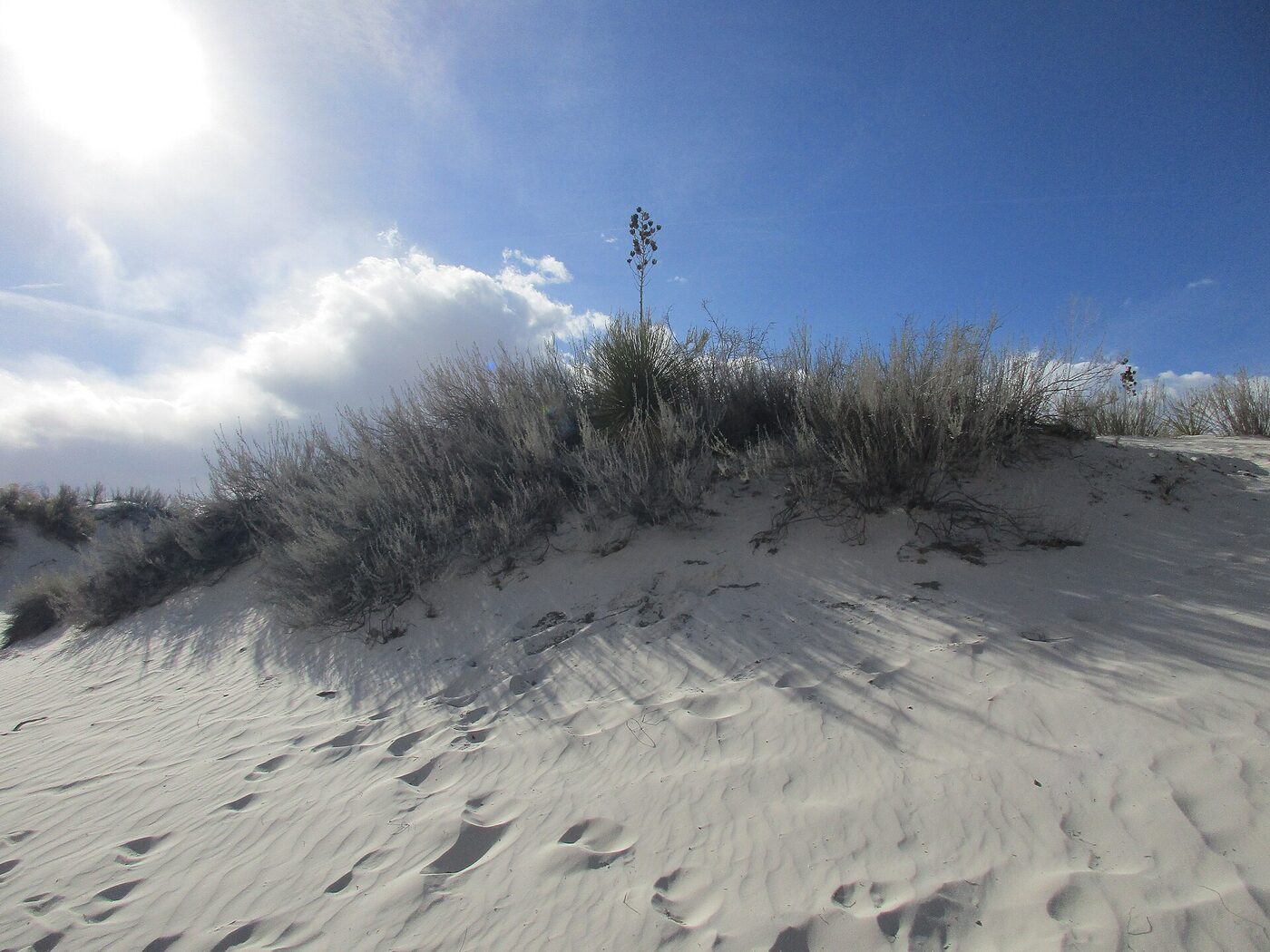 Dunes de gypse blanc du parc national de White Sands au Nouveau-Mexique sous un ciel bleu