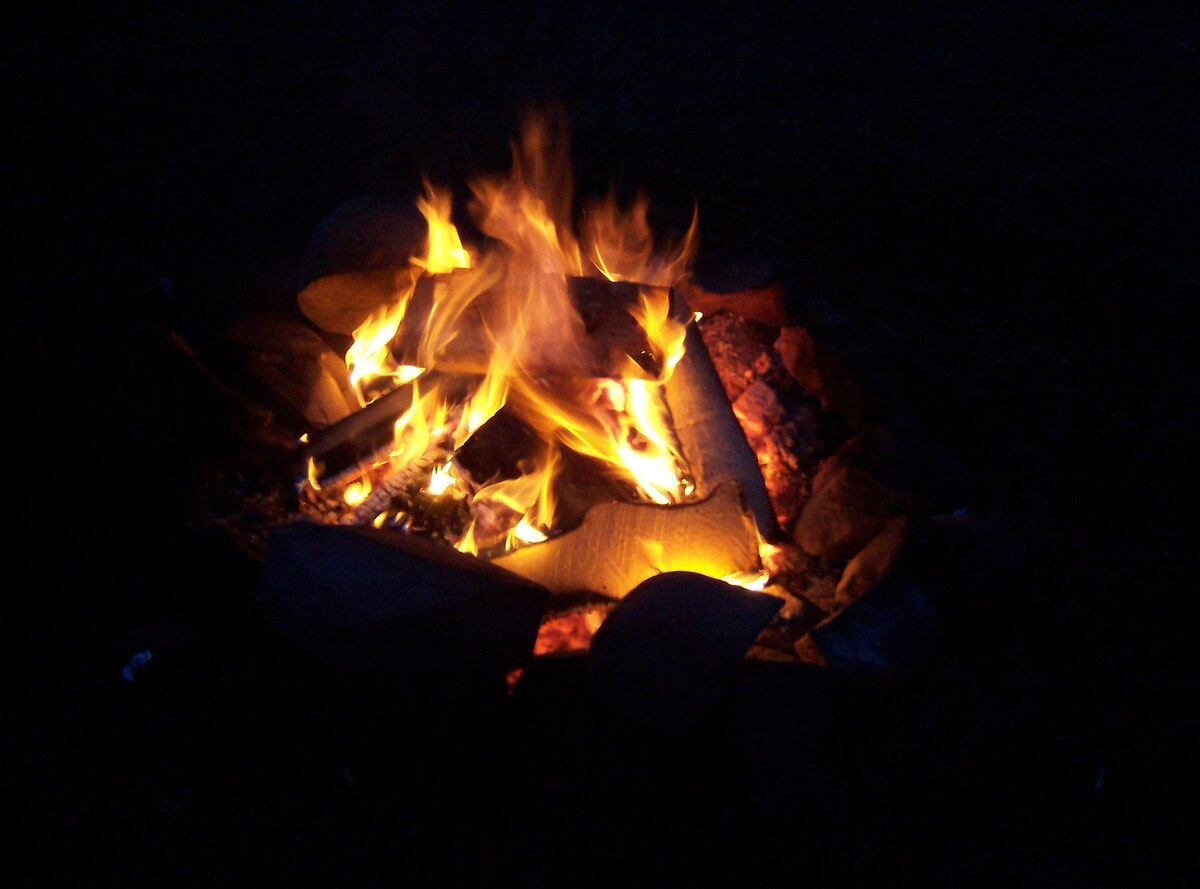 Illustration of a campfire, evoking early hominin control of fire